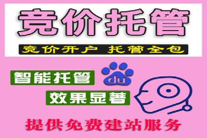 搜索引擎营销（SEM）广告投放的技巧与经典案例
